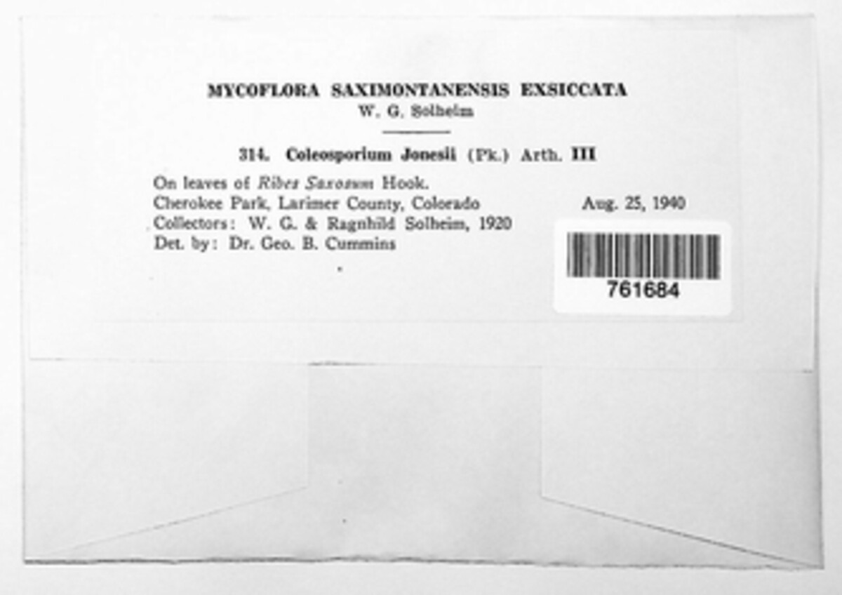 Coleosporium jonesii image